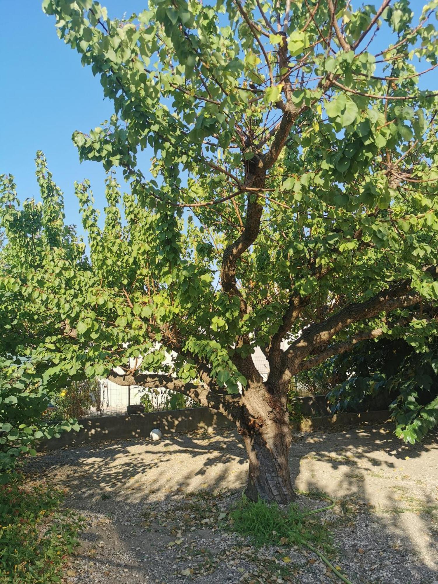 Villa Dans Le Sud Lunel  Exterior foto